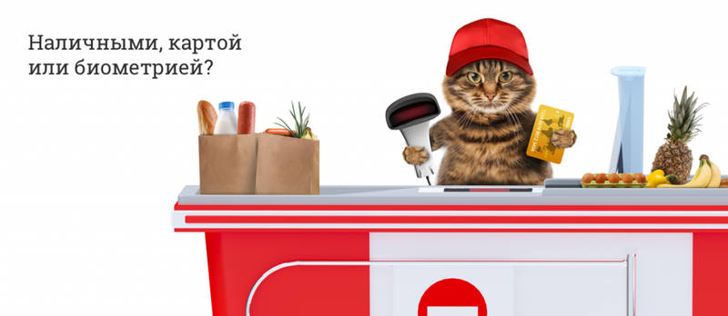 Биометрия в финансах Биометрия в финансах