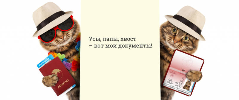 Что такое биометрия Что такое биометрия