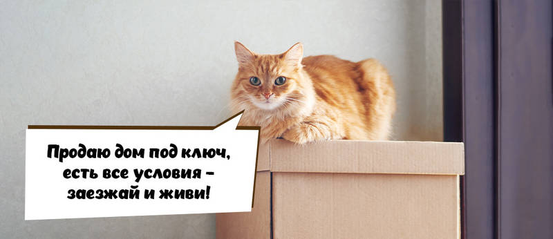 Вычет с дохода от продажи имущества Вычет с дохода от продажи имущества