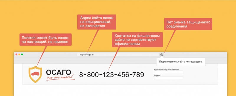 Как проверить сайт страховой компании